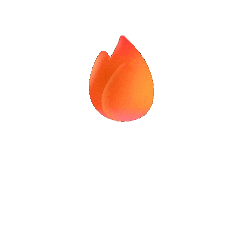 Ric Sticker by Rocscience