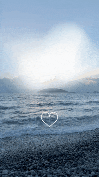 GIF by Learner Circle