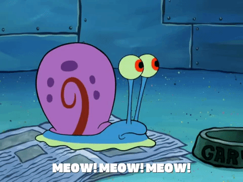 season 8 episode 22 GIF by SpongeBob SquarePants