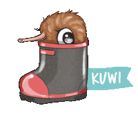 New Zealand Kiwi Sticker