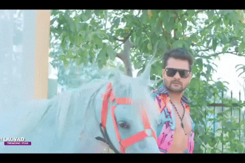 Bhojpuri GIF