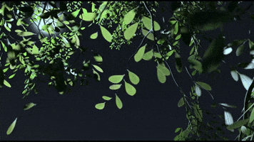 3D Trees
