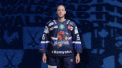 Celebration Hockey GIF by Iserlohn Roosters