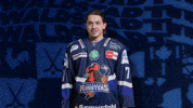 Celebration Hockey GIF by Iserlohn Roosters