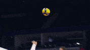 Sport Power GIF by Volleyball World