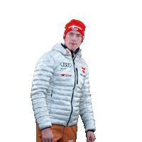 Benedikt Doll Winter Sticker by Viessmann Sport