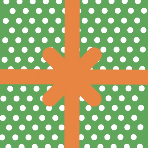 Christmas Gift GIF by Snap Finance