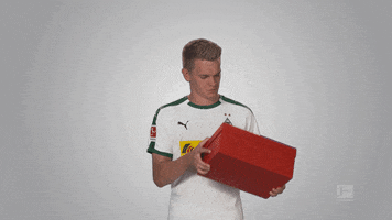 shaking santa claus GIF by Bundesliga