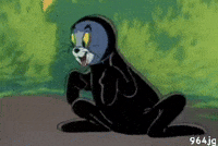 Tom And Jerry Veil GIF