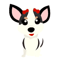 animapet_studio animapet annieayla Sticker