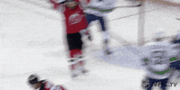 Happy Ice Hockey GIF by NHL