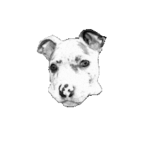 Dog Dawg Sticker