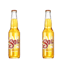 Sun Weekend Sticker by Sol Beer