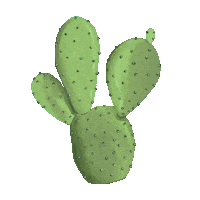theanmonresortbintan boho desert cactus hippie Sticker