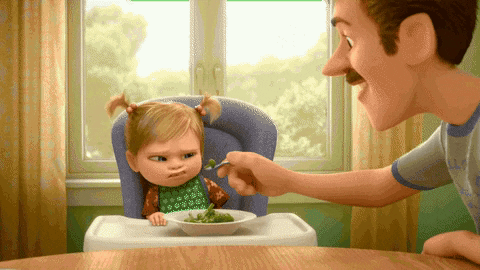 giffy8031 giphygifmaker giphyattribution GIF