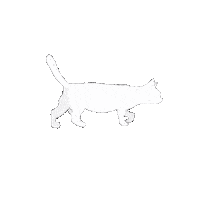 Cat Kitty Sticker