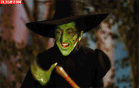 la soy GIF