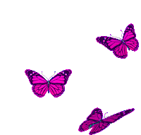 Pink Butterfly Sticker