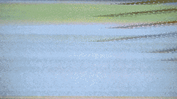 Vintage Glitch GIF by Hunter Preston