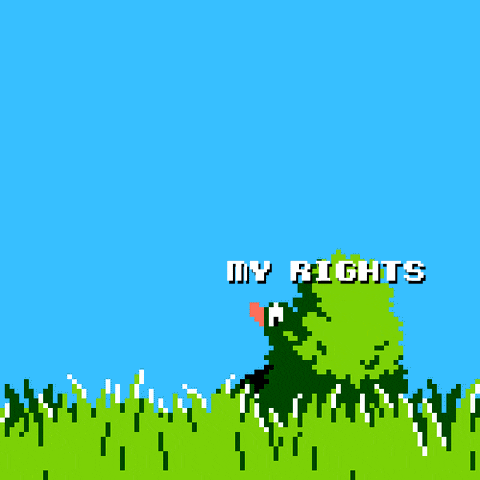 Political gif. Image from 16-bit Nintendo Duck Hunt, the frantically flying duck labeled "my rights," Laughing Dog appearing from below, labeled "Republicans."