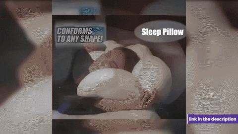 SmartyZebra giphygifmaker GIF