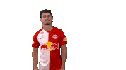 Andre Ramalho Yes Sticker by FC Red Bull Salzburg