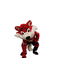 molfehervarfcgif fox vidi roka szekesfehervar Sticker