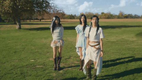 addamakpop giphyupload nature bird park GIF