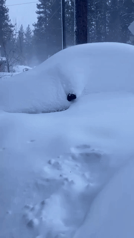 Car Buried in Several Feet of Snow in Tahoe Area