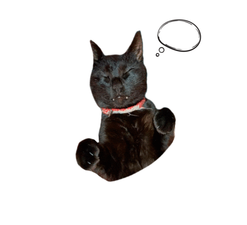 Sleepy Sticker by Rubicat