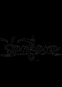 intheflight sankara GIF