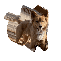 Arthur Doggie Sticker by Alex Anderson