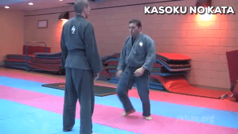 martial arts mma GIF by AKBAN Academy