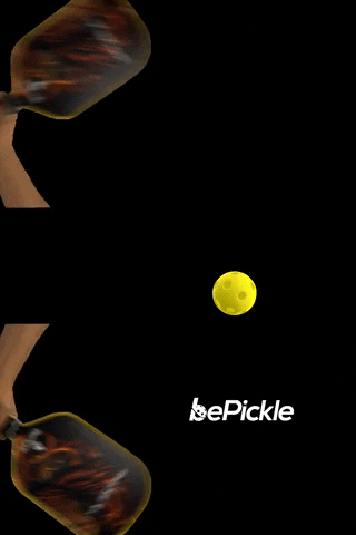 BePickle sports pickleball bepickle GIF