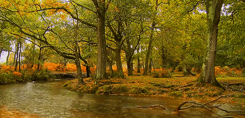 fall river GIF by Jerology