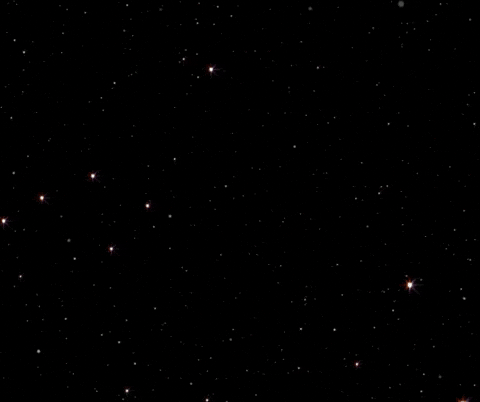 GIF by TCR Tri Coaching