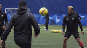 fury fc soccer GIF by Ottawa Fury FC