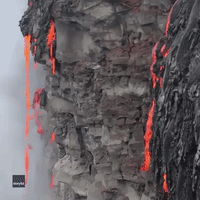 Lava Drips From Kilauea Cliff Face Into Pacific Ocean