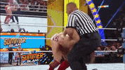 wwe sports wwe wrestling 2013 GIF