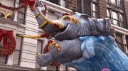 Macys Parade GIF by The 96th Macy’s Thanksgiving Day Parade