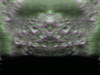 GIF by Leo Pyrata