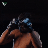 Ufc Mma GIF