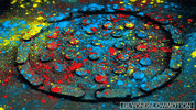 magnets GIF by Digg