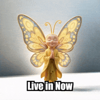 Buddhafly Character GIF by BuddhaFlyJourney