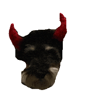 Animated Sticker