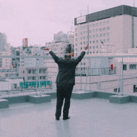 GIF by NOWNESS