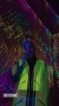 Techno Macron GIF by systaime