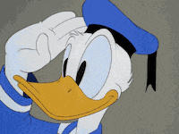United States Usa GIF