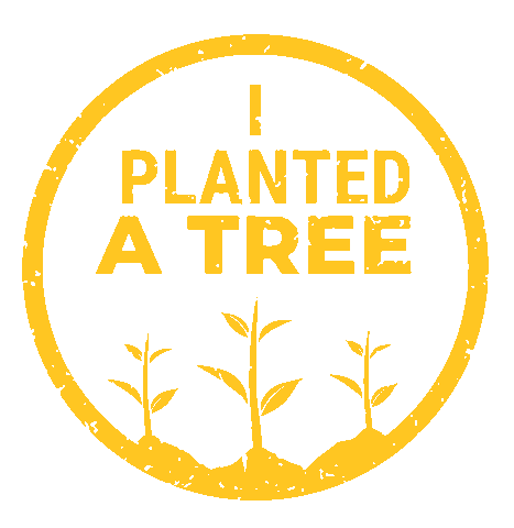 onetreeplanted patd sapling onetreeplanted one tree planted Sticker
