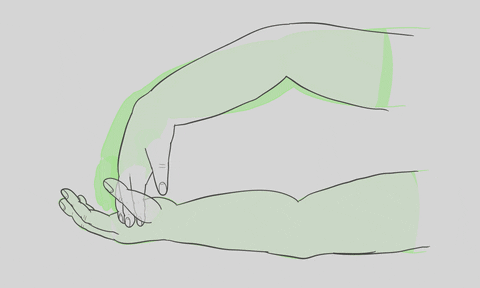 toon boom hands GIF by Miranda Javid